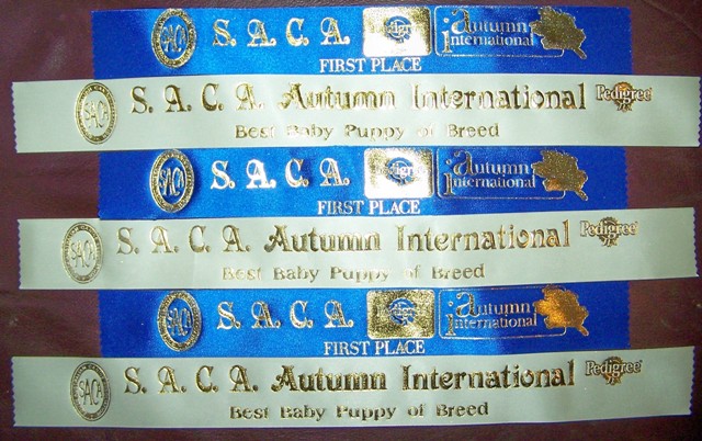 SACA Awards